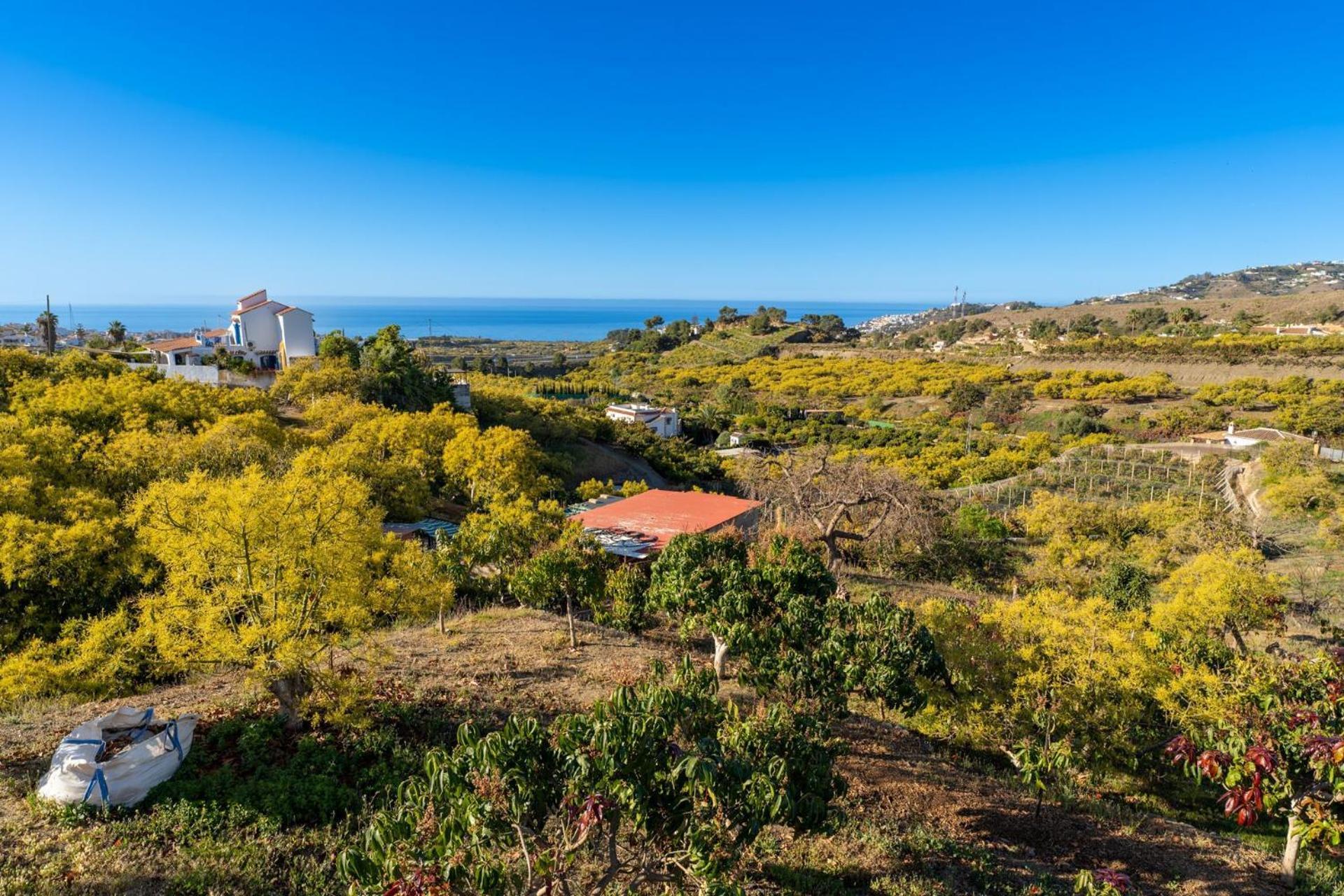 Casa Herrero Nerja Eksteriør billede